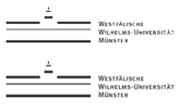 Westf�lische Wilhelmsuniversit�t M�nster